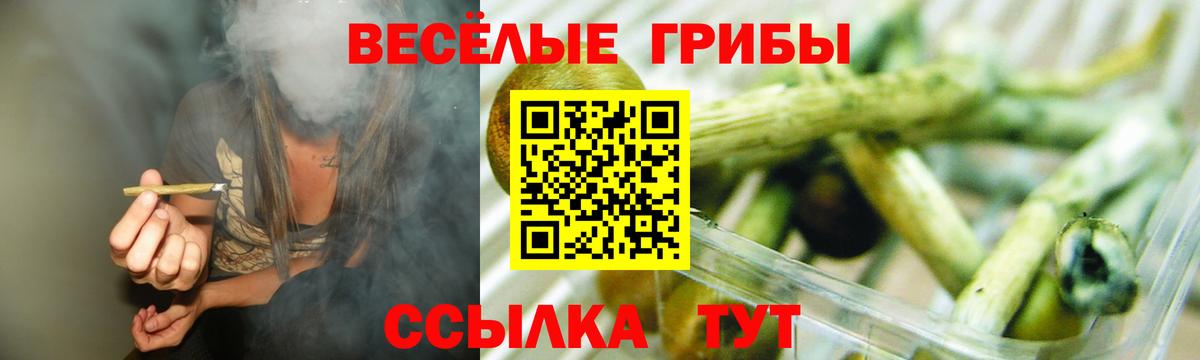 Галлюциногенные грибы Psilocybine cubensis  Вход с VPN  Зеленокумск 